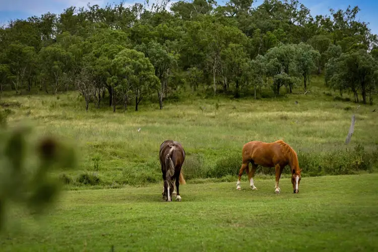 LOT 13, 876 Greenmount Hirstvale Road, East Greenmount QLD 4359