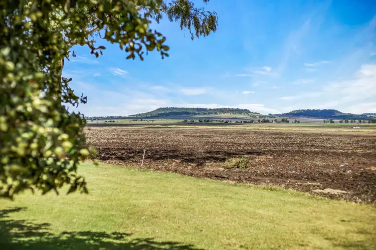 Third view of Homely rural property listing, 365 Rickert Road, Nobby QLD 4360