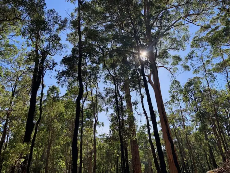 Second view of Homely land listing, LOT 26 KARRI Lane, Quinninup WA 6258