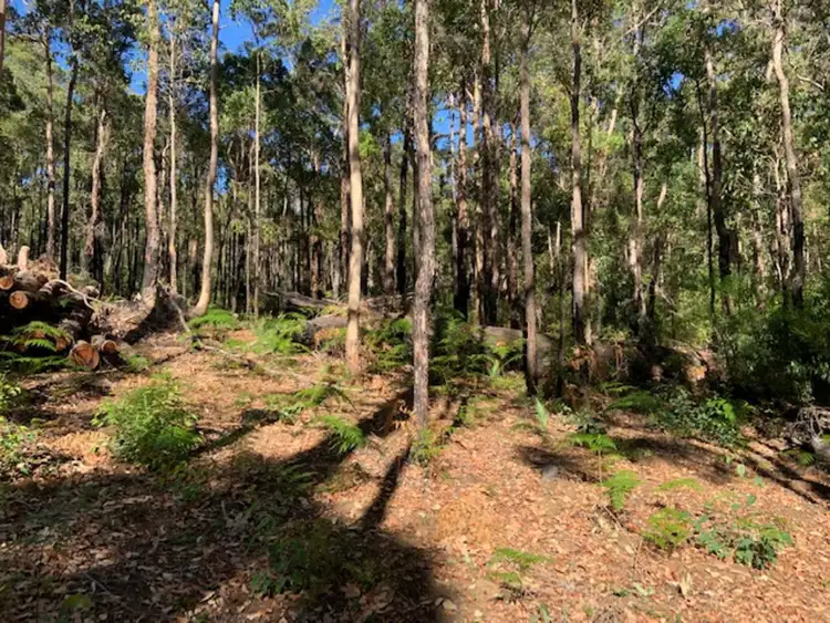 Fourth view of Homely land listing, LOT 26 KARRI Lane, Quinninup WA 6258