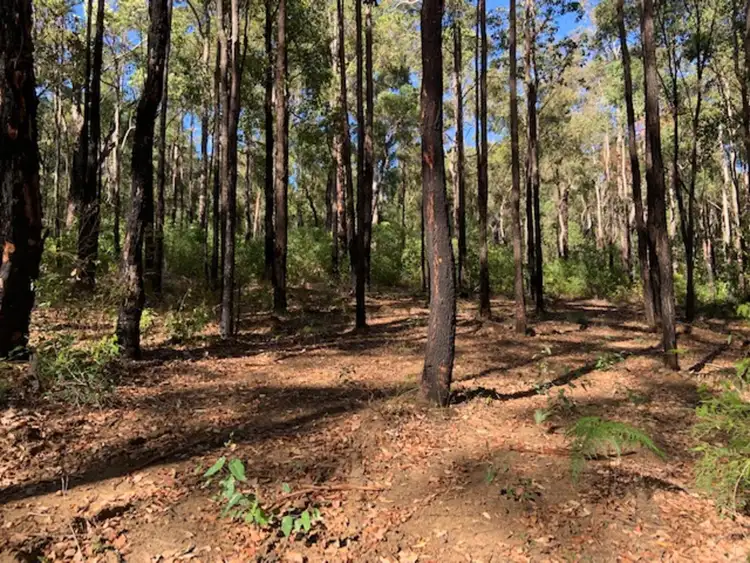 Seventh view of Homely land listing, LOT 26 KARRI Lane, Quinninup WA 6258