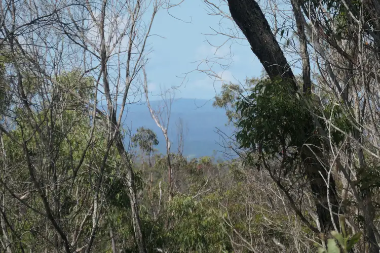 175 Mud Flat Road, Drake NSW 2469