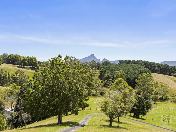 480 Smiths Creek Road, Smiths Creek NSW 2484