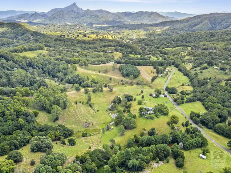 Fourth view of Homely rural property listing, 480 Smiths Creek Road, Smiths Creek NSW 2484