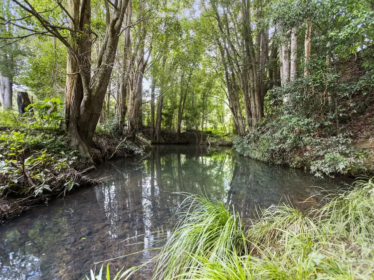 Sixth view of Homely rural property listing, 480 Smiths Creek Road, Smiths Creek NSW 2484