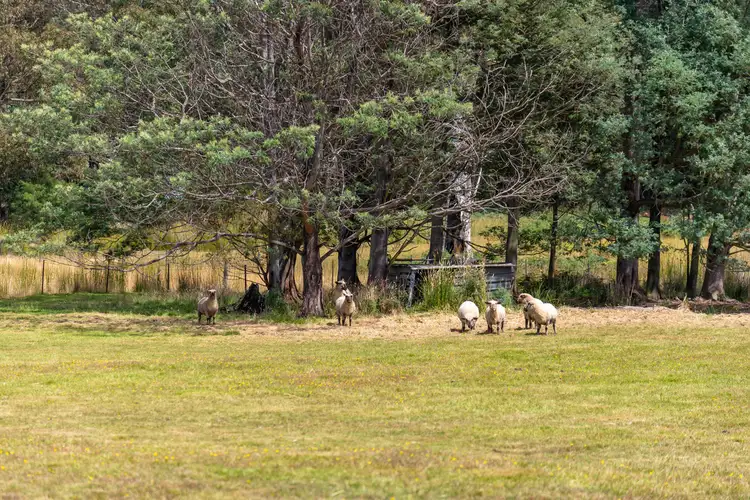 Fourth view of Homely land listing, 60 Tabors Road, Margate TAS 7054