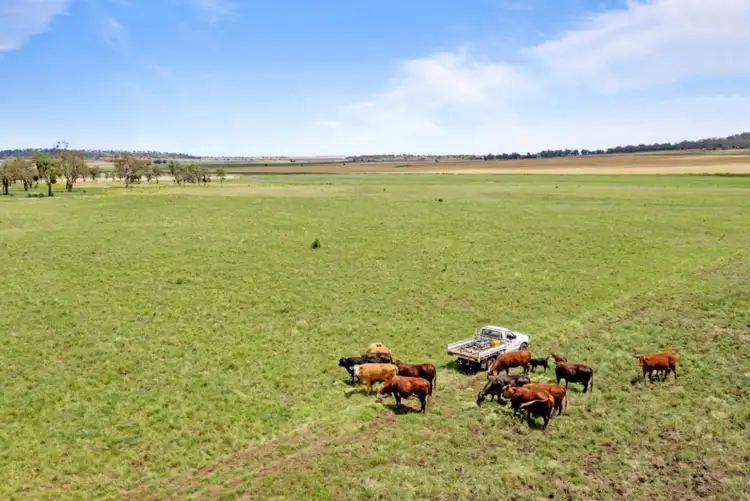 Third view of Homely rural property listing, 195 Moran Road, Linthorpe QLD 4356