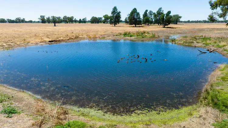 Second view of Homely rural property listing, LOT 281 Lavis Road, Hopefield NSW 2646