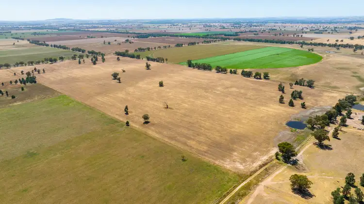 Fifth view of Homely rural property listing, LOT 281 Lavis Road, Hopefield NSW 2646