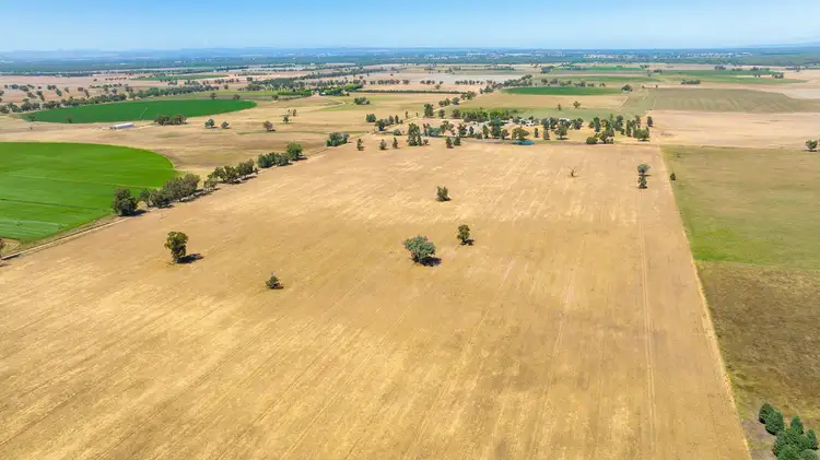 Sixth view of Homely rural property listing, LOT 281 Lavis Road, Hopefield NSW 2646