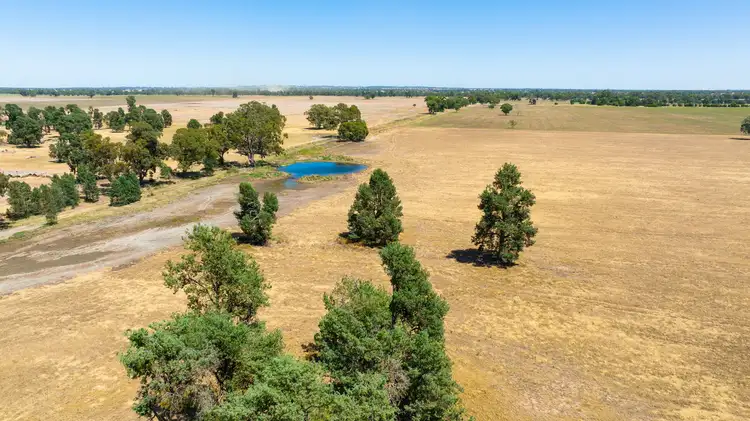 Seventh view of Homely rural property listing, LOT 281 Lavis Road, Hopefield NSW 2646