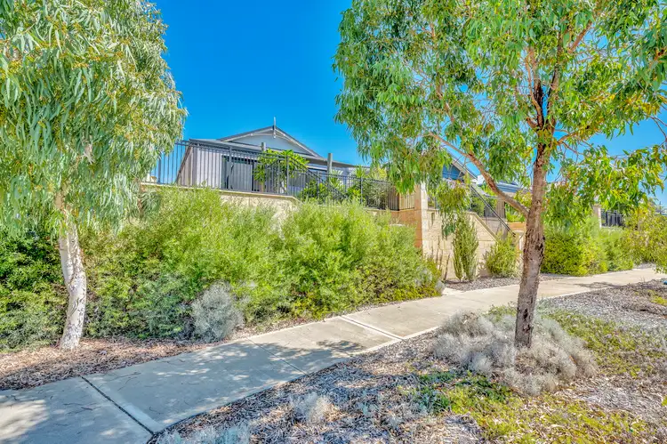 33 Pygmy Lane, Baldivis WA 6171