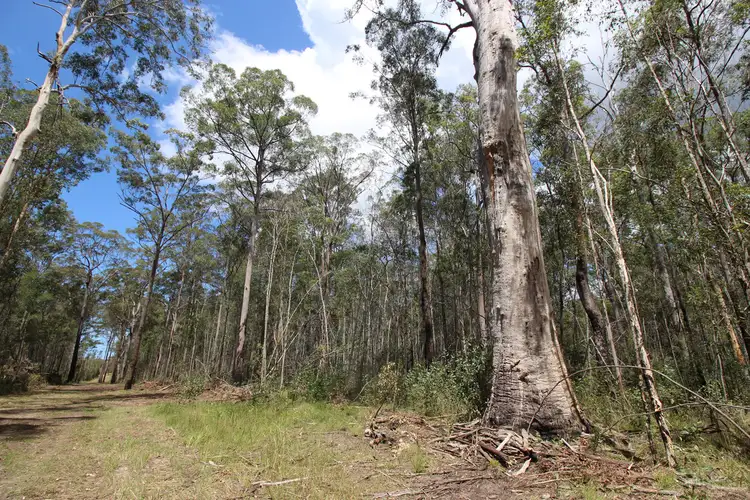 Second view of Homely rural property listing, LOT 10 and 22 Pacific Highway, Mororo NSW 2469