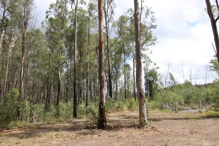 Fourth view of Homely rural property listing, LOT 10 and 22 Pacific Highway, Mororo NSW 2469