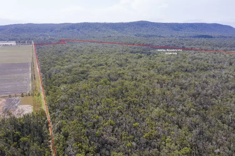 Sixth view of Homely rural property listing, LOT 10 and 22 Pacific Highway, Mororo NSW 2469