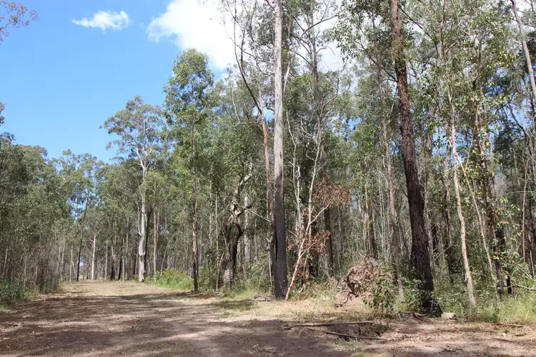 Seventh view of Homely rural property listing, LOT 10 and 22 Pacific Highway, Mororo NSW 2469