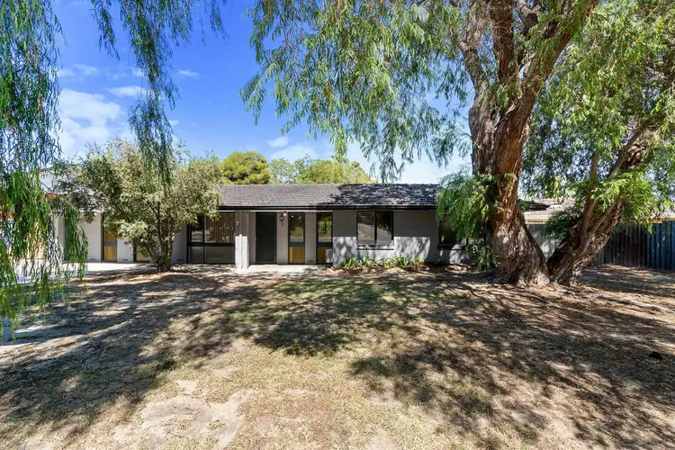 Second view of Homely house listing, 7 Downing Crescent, Wanneroo WA 6065