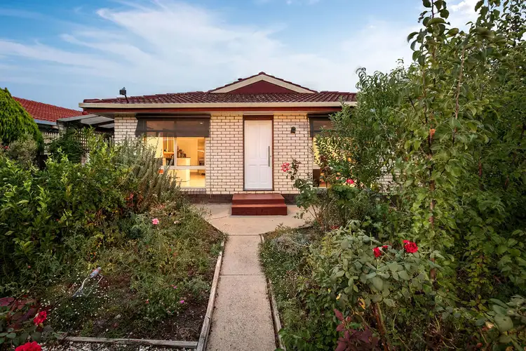 3 Campbell Avenue, Wodonga VIC 3690