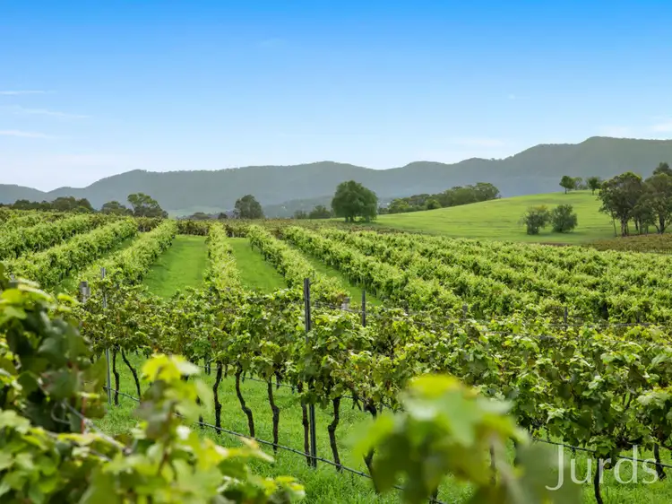 29 Palmers Lane, Pokolbin NSW 2320