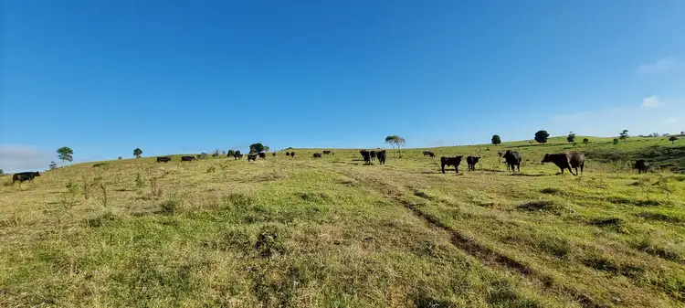 Third view of Homely rural property listing, 2, LOT 9 Dioths Road, Upper Yarraman QLD 4614
