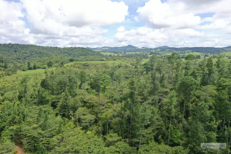 LS1791   145 Middlebrook Road, Millaa Millaa QLD 4886