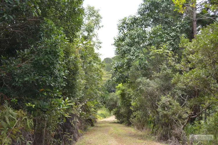 Fifth view of Homely rural property listing, LS1791 145 Middlebrook Road, Millaa Millaa QLD 4886