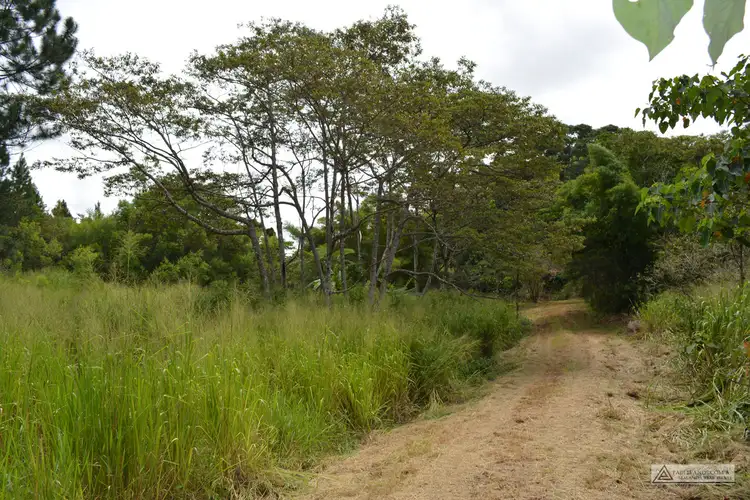 Sixth view of Homely rural property listing, LS1791   145 Middlebrook Road, Millaa Millaa QLD 4886