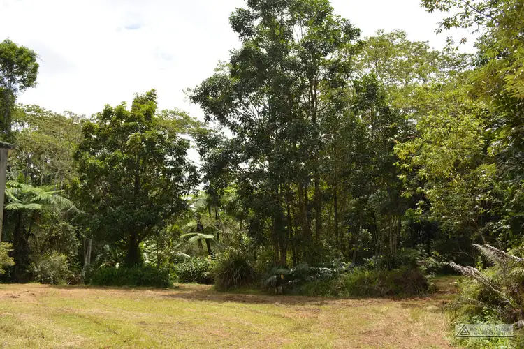 Seventh view of Homely rural property listing, LS1791 145 Middlebrook Road, Millaa Millaa QLD 4886
