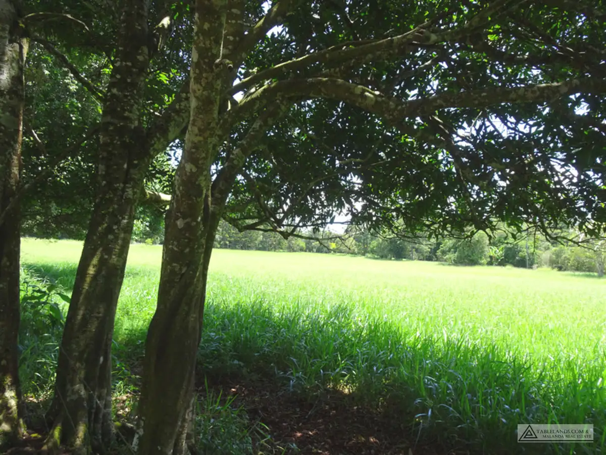 Main view of Homely land listing, Address available on request