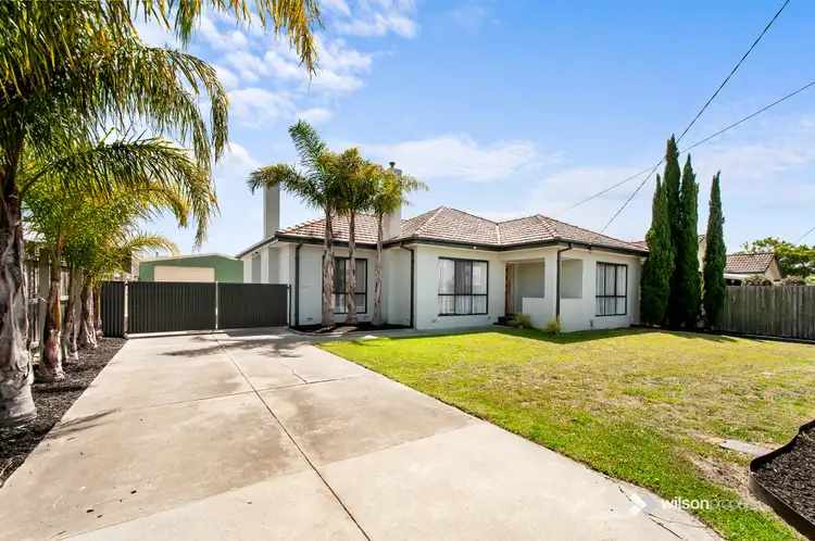 Main view of Homely house listing, 3 Row Street, Traralgon VIC 3844