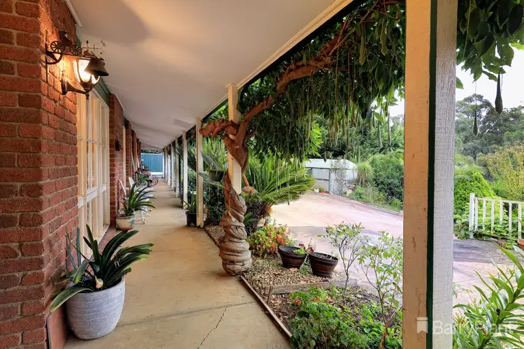 Second view of Homely house listing, 54-56 Woori Yallock Road, Cockatoo VIC 3781
