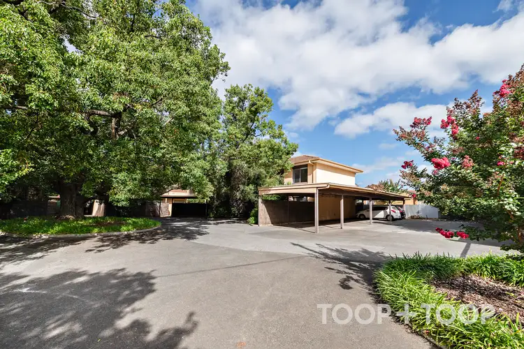 6/1b Hartland Avenue, Black Forest SA 5035