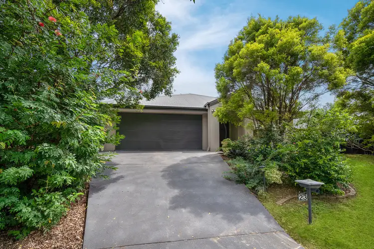 Main view of Homely house listing, 23 Eumundi Street, Ormeau QLD 4208