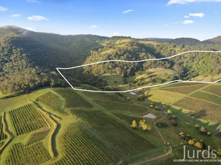 Third view of Homely rural property listing, 493 Marrowbone Road, Pokolbin NSW 2320