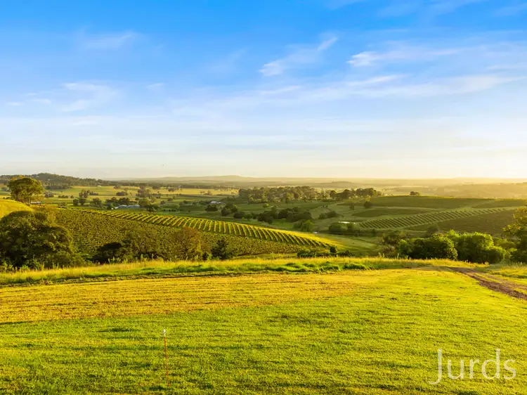 Fifth view of Homely rural property listing, 493 Marrowbone Road, Pokolbin NSW 2320