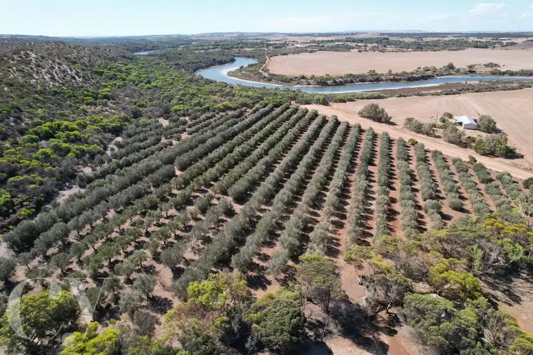 Third view of Homely house listing, 1443 Company Road, Greenough WA 6532