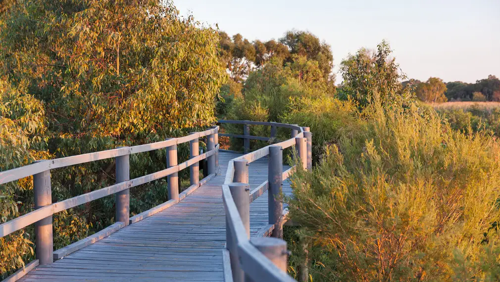 Main view of Homely land listing, 37 Francis Avenue, Karrinyup WA 6018
