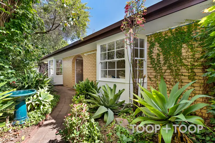 Main view of Homely unit listing, 3/195 Fisher Street, Malvern SA 5061