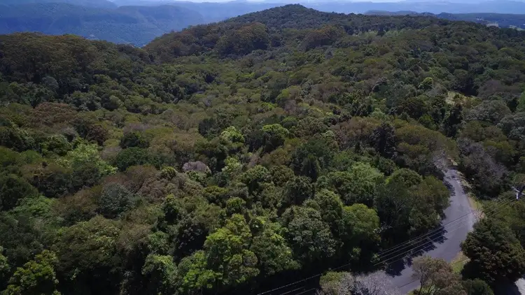 Third view of Homely land listing, 146 Repeater Station Road, Springbrook QLD 4213