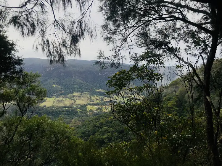 Fifth view of Homely land listing, 146 Repeater Station Road, Springbrook QLD 4213