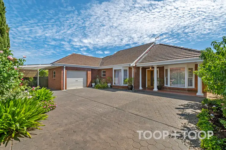 3A Jellicoe Street, Linden Park SA 5065