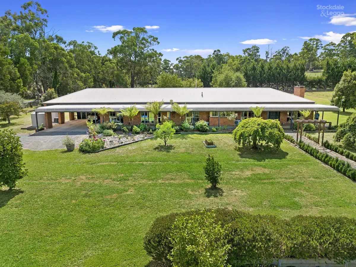 Main view of Homely house listing, 25 Teeses Road, Woori Yallock VIC 3139