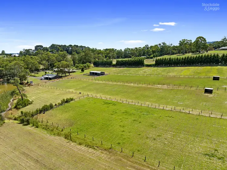 Second view of Homely house listing, 25 Teeses Road, Woori Yallock VIC 3139