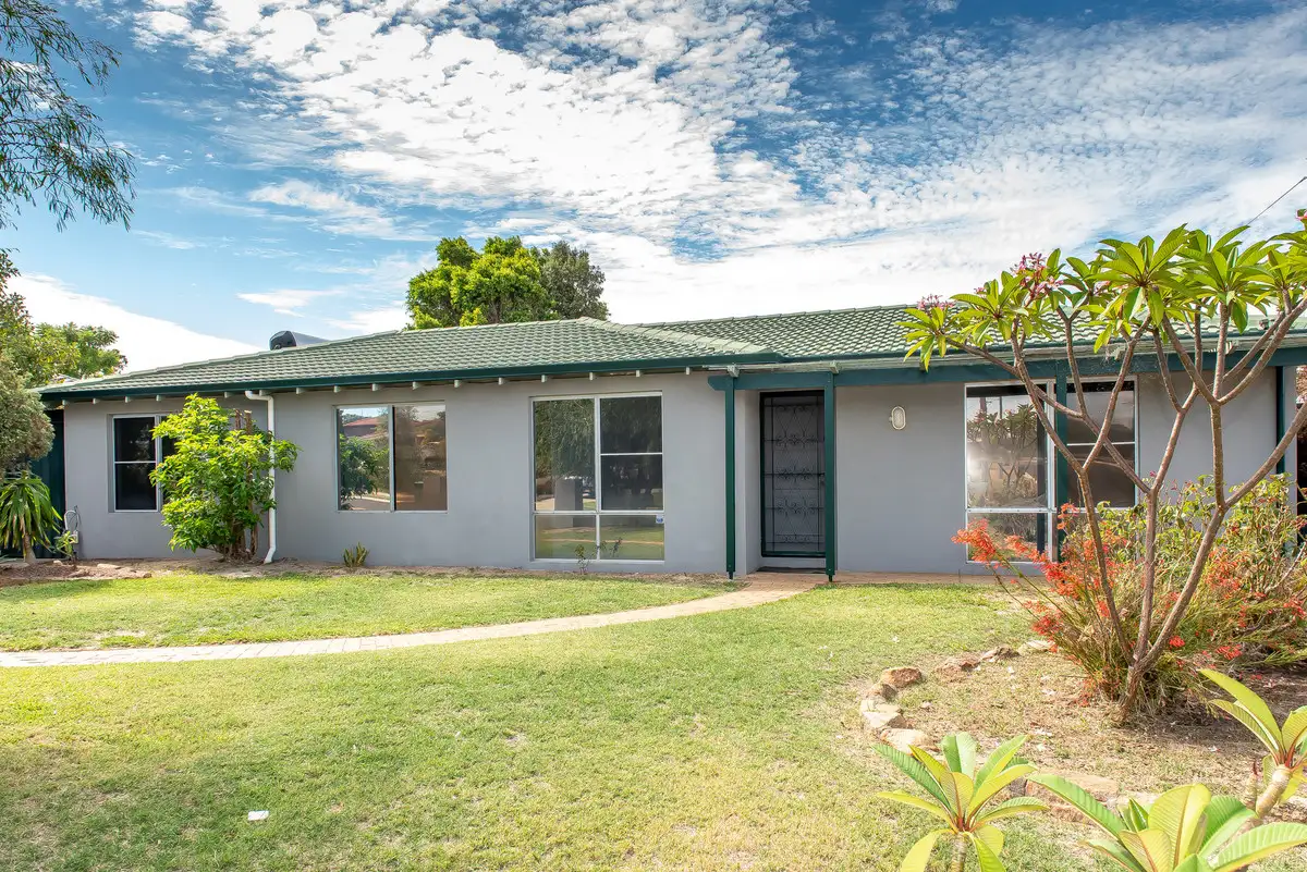 Main view of Homely house listing, 49 Britannia Way, Craigie WA 6025