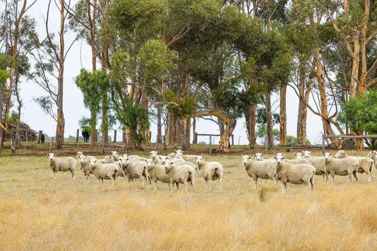 Second view of Homely rural property listing, 1660 and 1690 Colac-Ballarat Road, Beeac VIC 3251