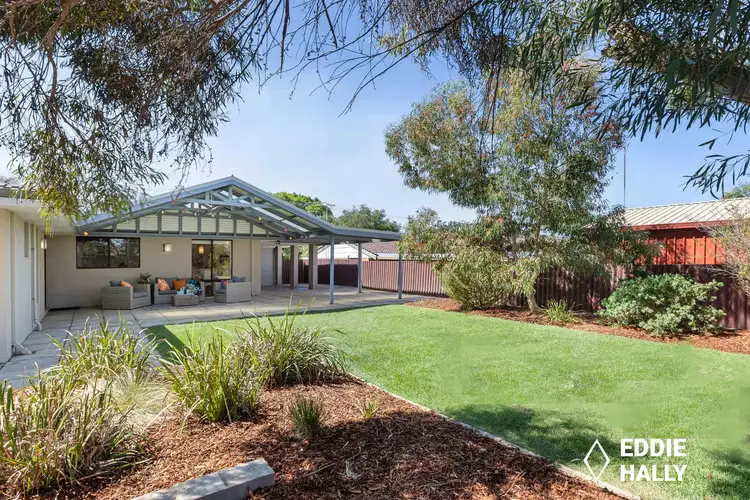 61 Sandpiper Loop, Yangebup WA 6164