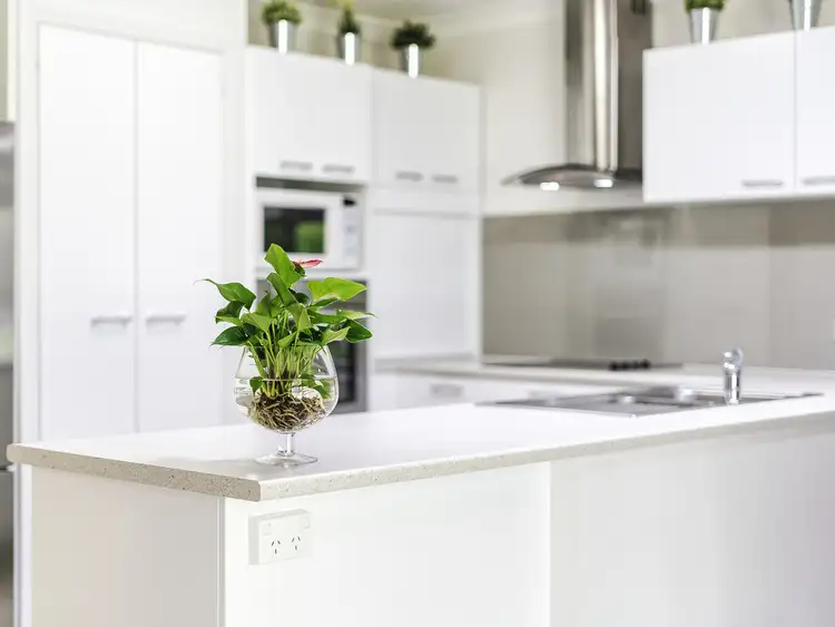 Third view of Homely semi-detached listing, 2/64 Mcauley Parade, Pacific Pines QLD 4211