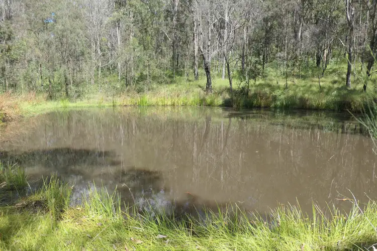 Third view of Homely rural property listing, LOT 110 Patemans Road, Drake NSW 2469