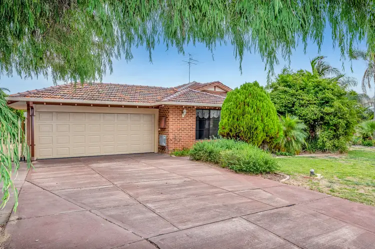 Main view of Homely house listing, 1 Silkwood Close, Halls Head WA 6210