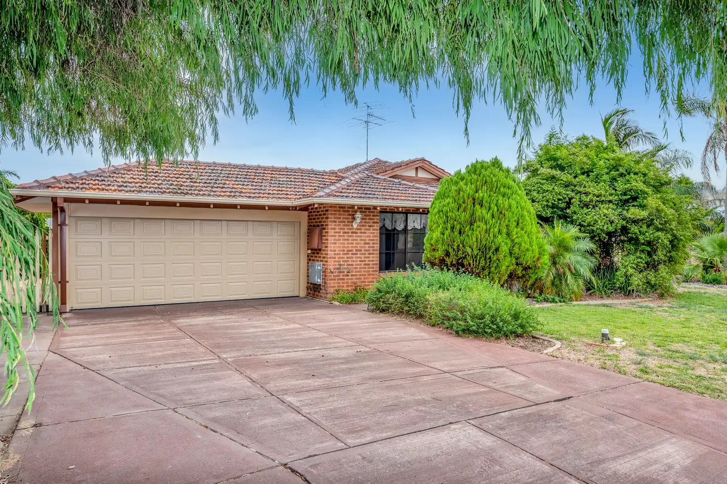 Main view of Homely house listing, 1 Silkwood Close, Halls Head WA 6210